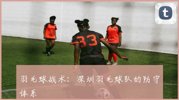 羽毛球战术：深圳羽毛球队的防守体系