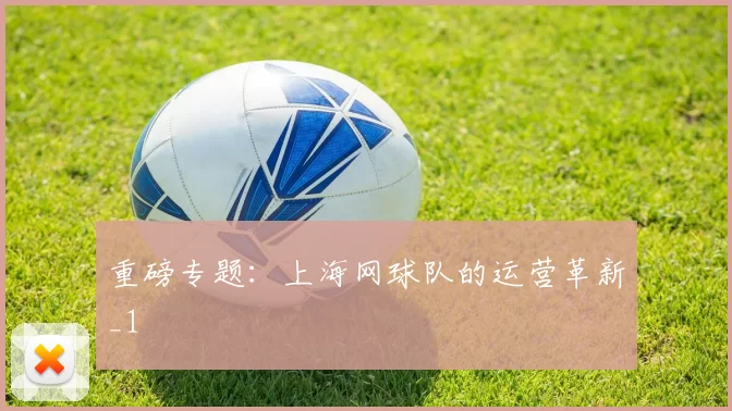 重磅专题：上海网球队的运营革新_1