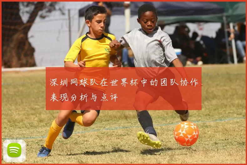 深圳网球队在世界杯中的团队协作表现分析与点评